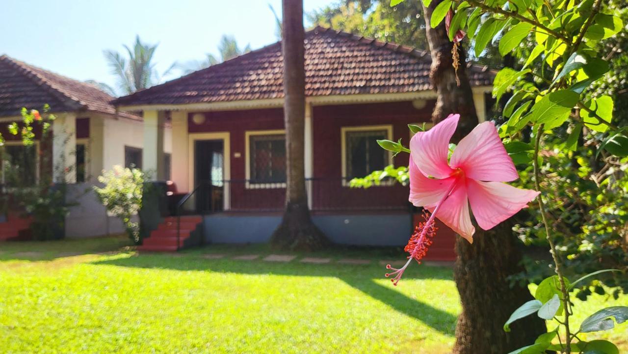 Garden Villa Vagator Esterno foto